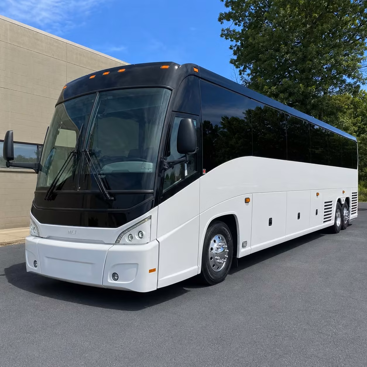 56 passenger charter bus